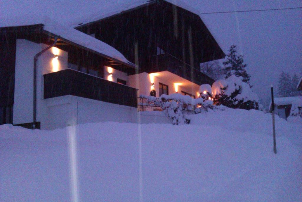 Seebacher