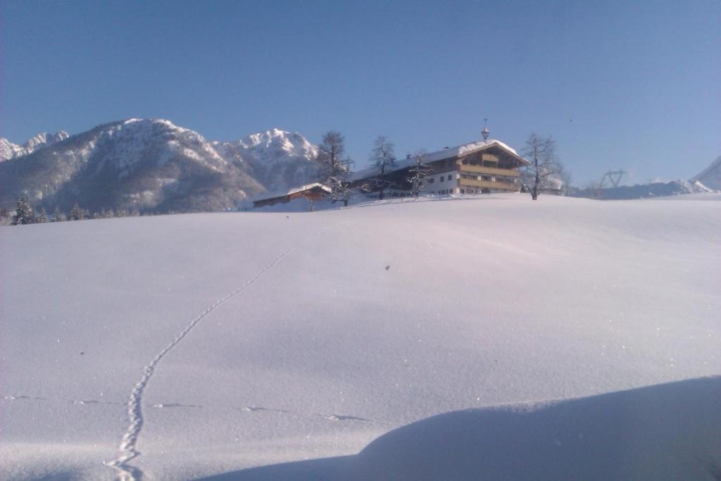 Seebacher Appartamento *